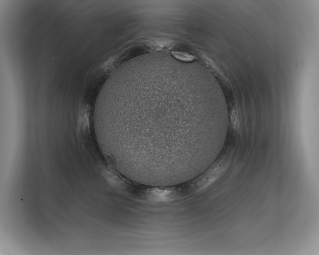 X0000111630570200907171529