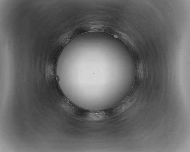 X0000111630571200907171529