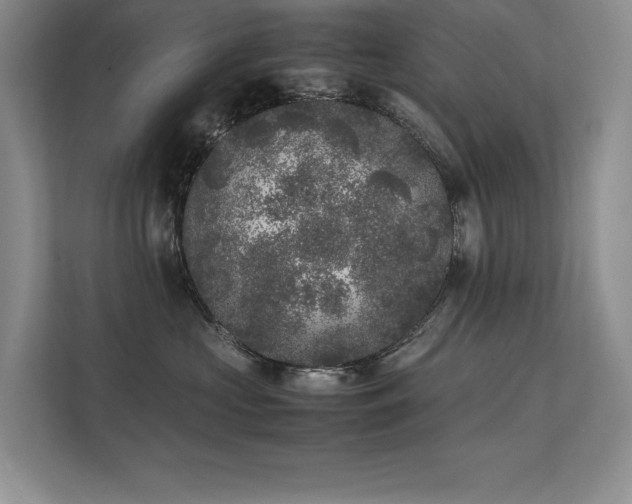 X0000111630573200907171529