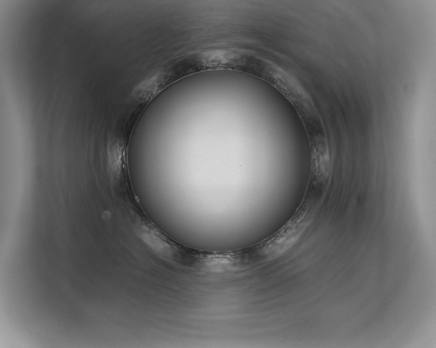 X0000111630574200907171529