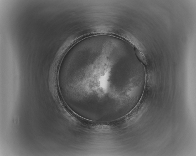 X0000111630577200907171528