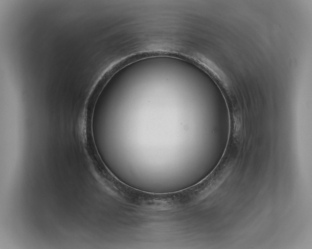 X0000111630580200907171528