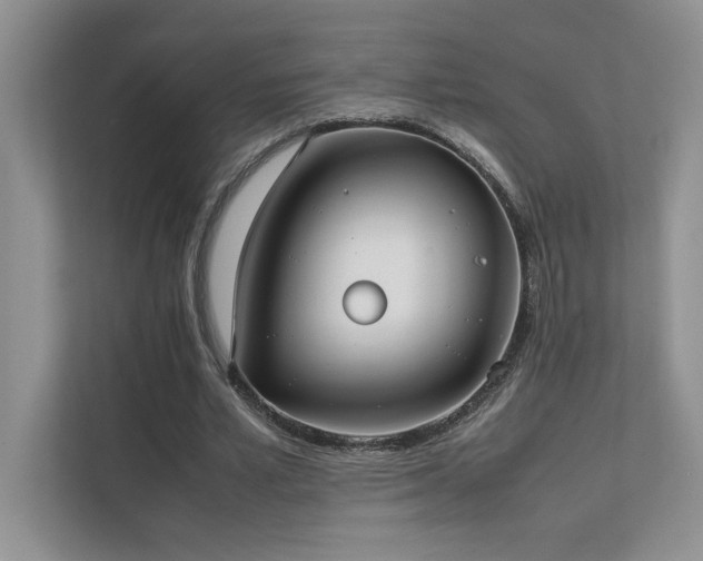X0000111630581200907171528