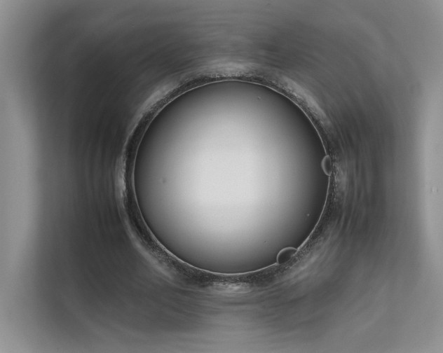 X0000111630582200907171528
