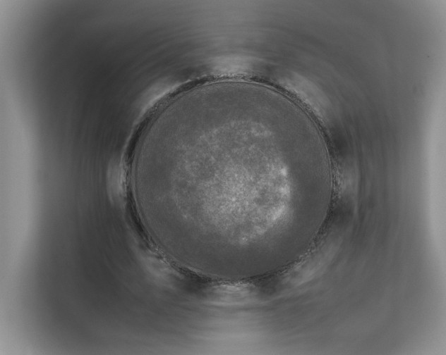 X0000111630583200907171528