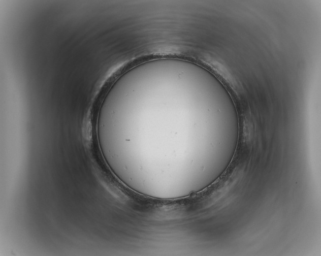 X0000111630584200907171528