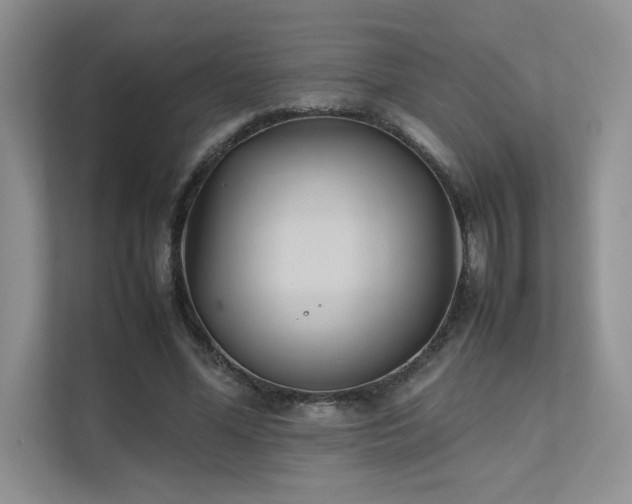 X0000111630588200907171528