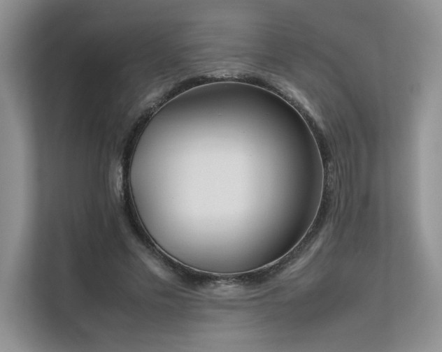 X0000111630589200907171528