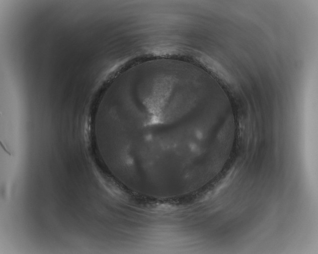 X0000111630592200907171528