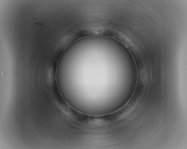 X0000111630594200907171528