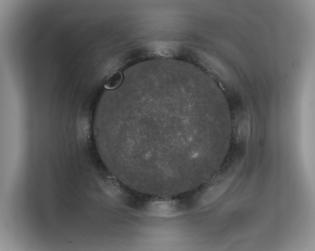 X0000111630595200907171528
