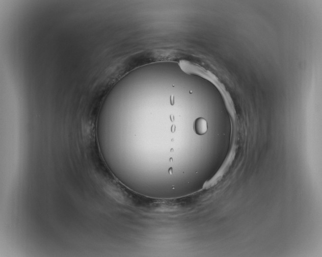 X0000111630601200907171528