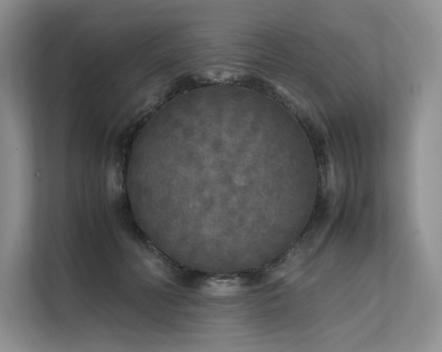 X0000111630606200907171528