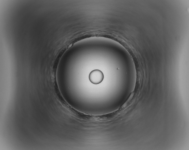 X0000111630613200907171528