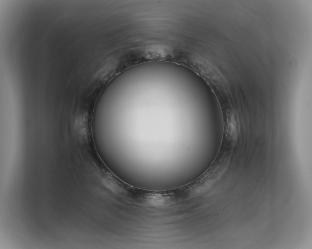 X0000111630616200907171528