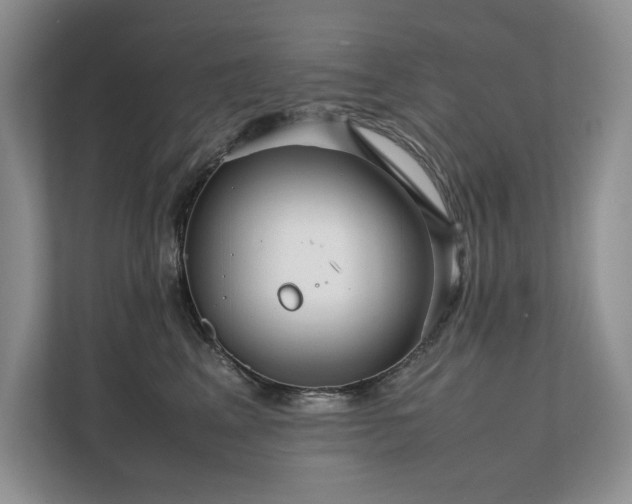 X0000111630617200907171528