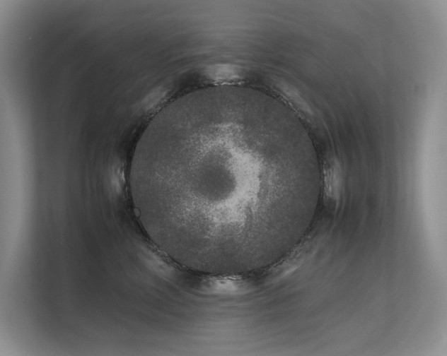 X0000111630618200907171528