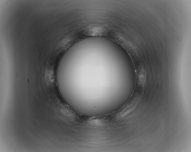 X0000111630620200907171528