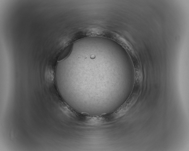 X0000111630621200907171528