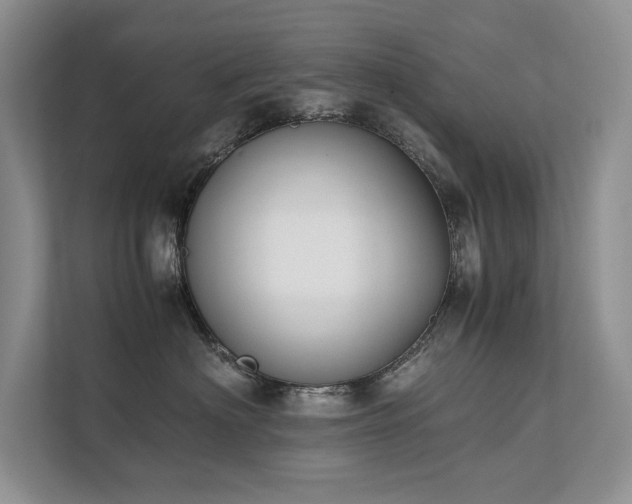 X0000111630622200907171528