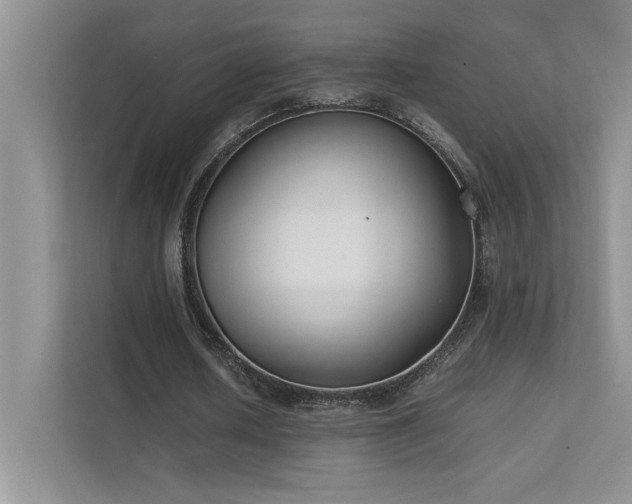 X0000111630626200907171527