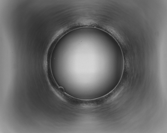 X0000111630630200907171527