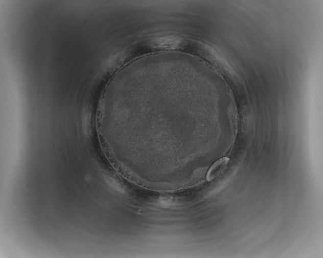 X0000111630641200907171527