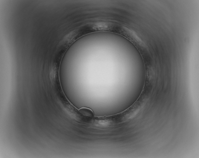 X0000111630645200907171528