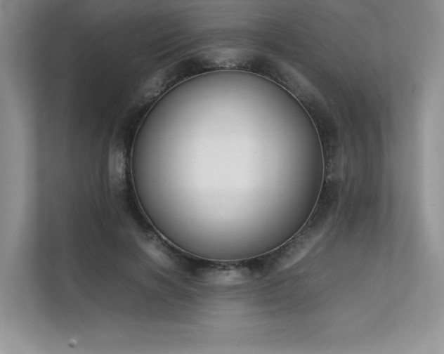 X0000111630646200907171528