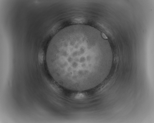 X0000111630647200907171528