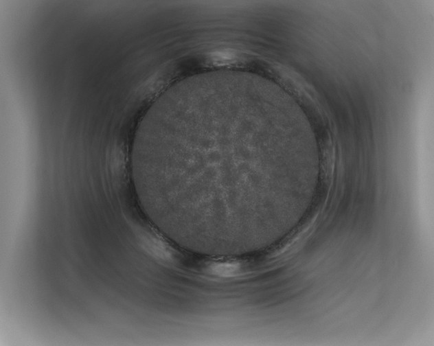 X0000111630653200907171528