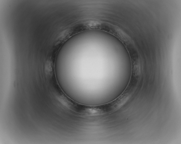 X0000111630654200907171528