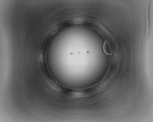 X0000111630655200907171528