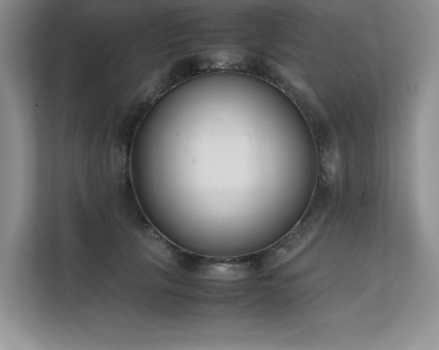 X0000111630657200907171528