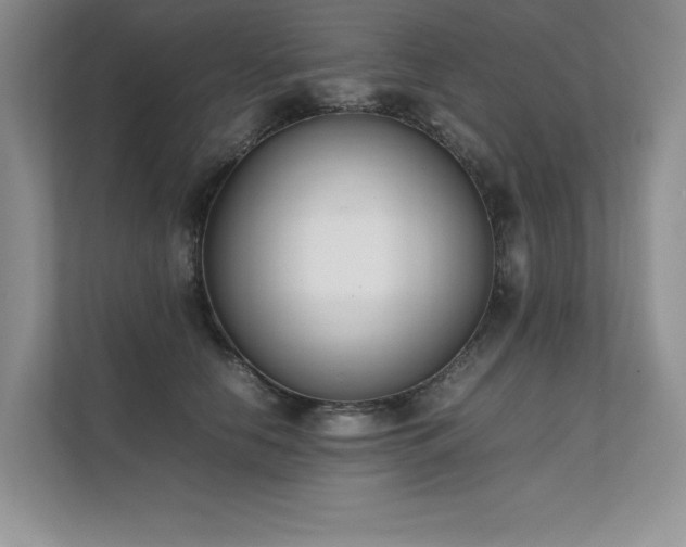 X0000111630658200907171528