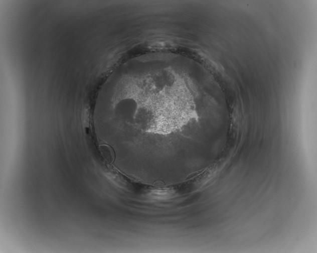 X0000111630659200907171528