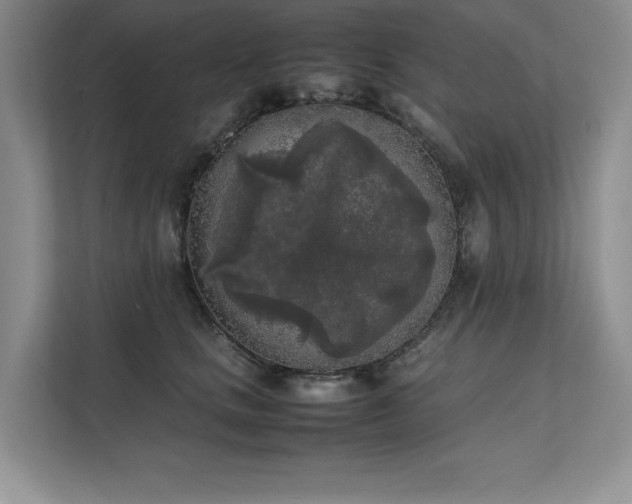 X0000111630661200907171528