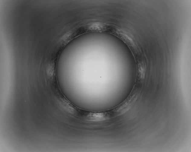 X0000111630665200907171528