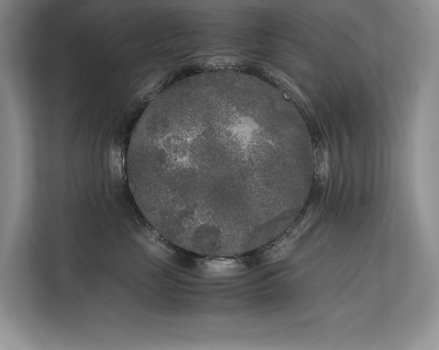 X0000111630669200907171528
