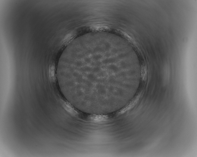 X0000111630670200907171528