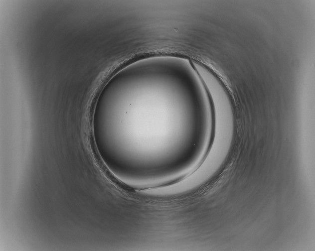 X0000111630673200907171527