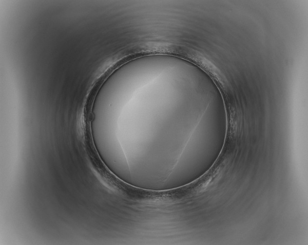 X0000111630674200907171527