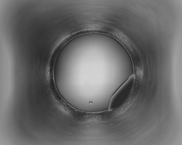 X0000111630676200907171527
