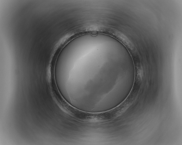 X0000111630678200907171527