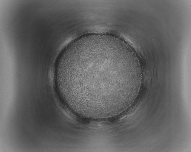 X0000111630679200907171527