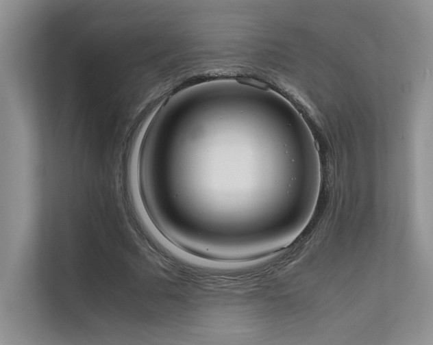 X0000111630681200907171527