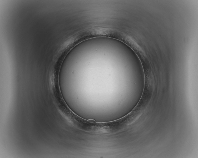 X0000111630683200907171527