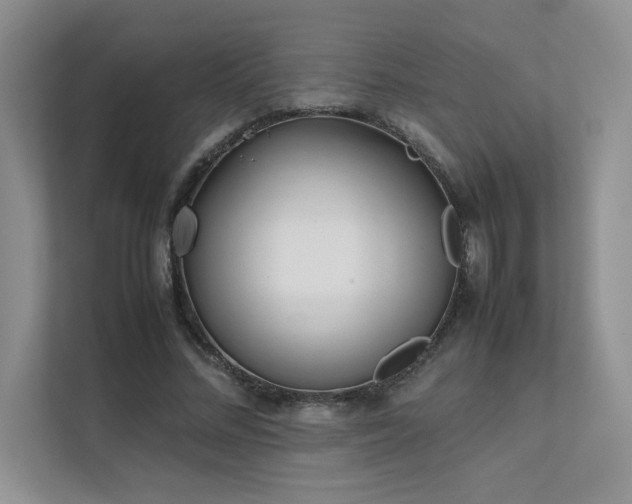 X0000111630684200907171527