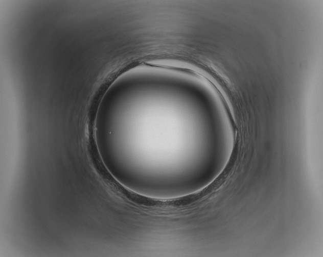 X0000111630685200907171527