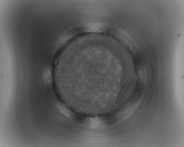 X0000111630688200907171527